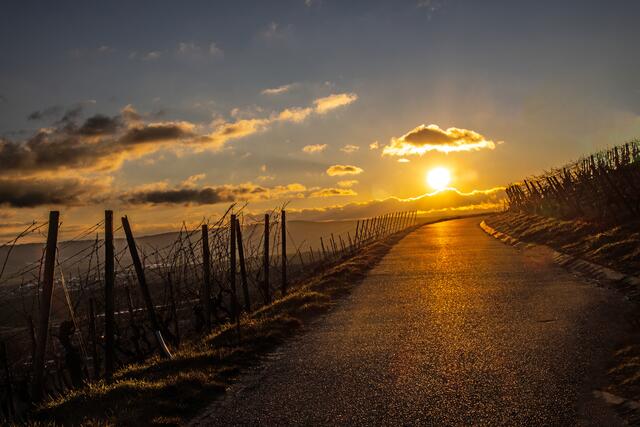 Sonnenuntergang in der Weinlandschaft Zabergäu am Hörnle in Dürrenzimmern