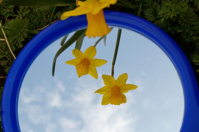 Blau und gelb