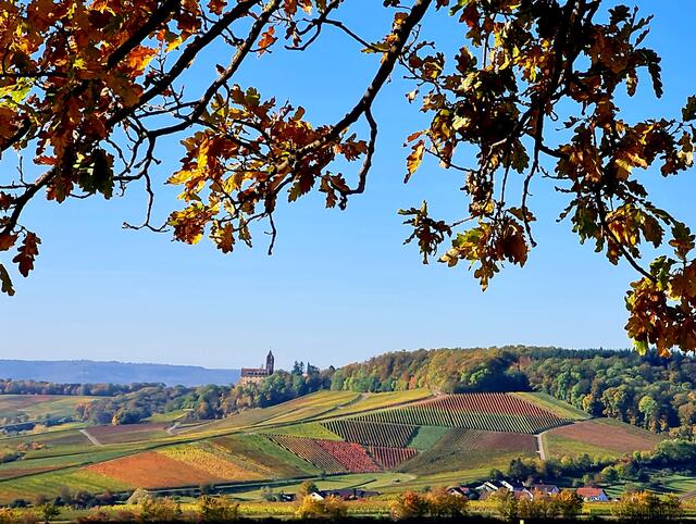 Herbst im Zabergäu-Blick auf Stockheim