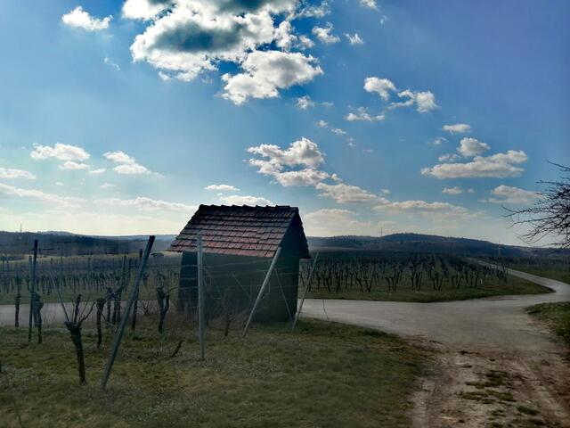 Sonnenberg Stetten am Heuchelberg