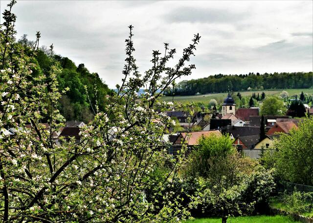 Neipperg im Frühling