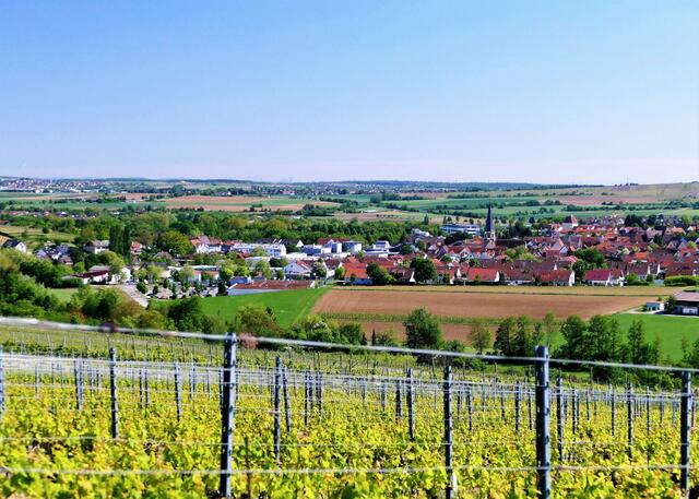 Blick auf Brackenheim