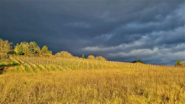 ... der Himmel wird wieder blau