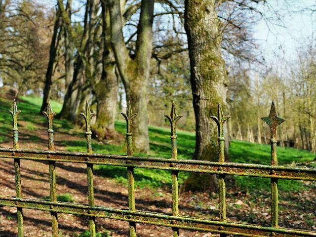 der Park