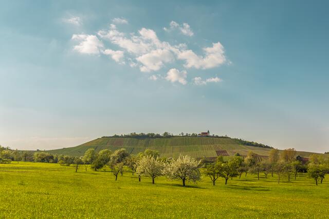Frühjahr am Michaelsberg und seiner Kapelle