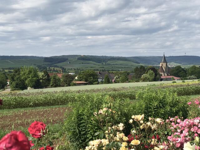 Blick über Meimsheim ins schöne Zabergäu