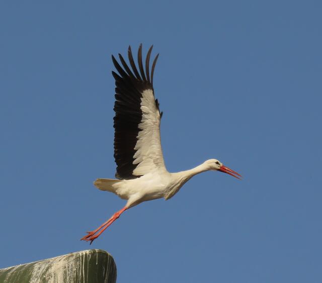 Abflug