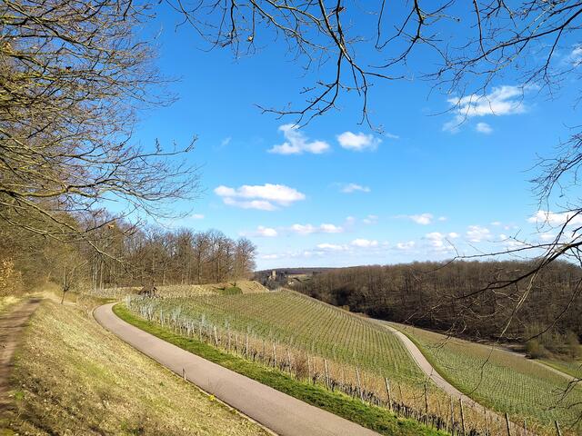 Hier geht der Blick vom "Ausguck" zurück nach Neipperg - die Burg ist in der Ferne zu sehen