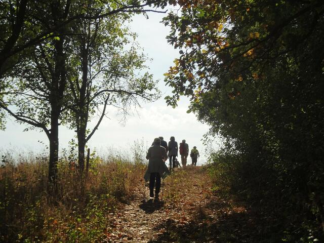 Die Wandergruppe geht der Sonne entgegen :-)