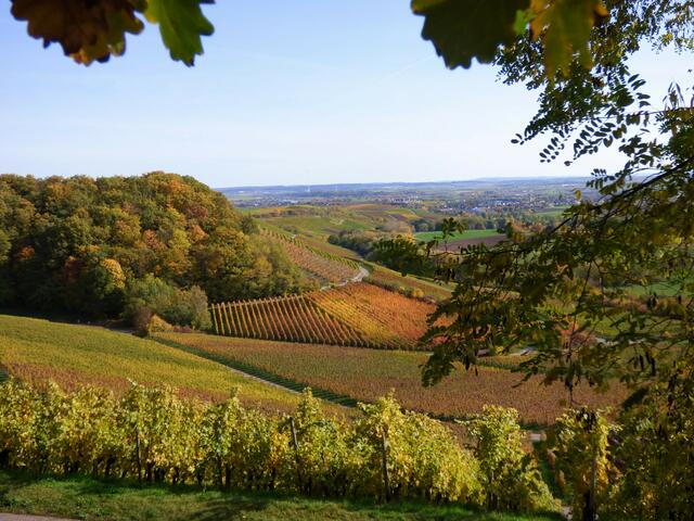 Solch herrliche Ausblicke und Farben gibt es im Herbst am Zweifelberg