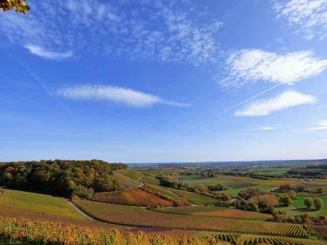 Eine herrliche Weinlandschaft im Zabergäu, blauer Himmel und Sonne - Herz was willst du mehr?