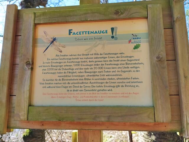 Der Wanderpfad führt nach dem Weinausschank nach einer Weile in den Wald. Gleich an diesem Schild links lohnt ein kleiner Abstecher 100 m in den Wald (außerhalb der Tour)