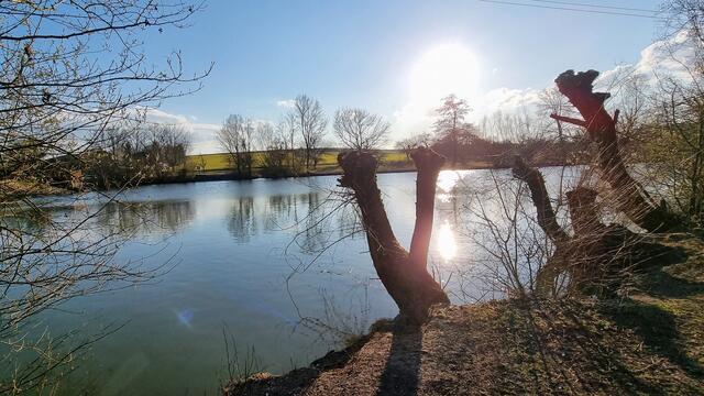 Am Mönchsbergsee zwischen Dürrenzimmern und Neipperg