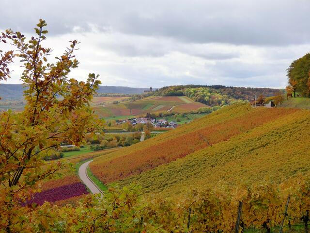 Hier geht's schon entlang des Zweifelbergs. Hinten ist der Weinausschank zu sehen und in der Ferne Schloss Stockheim