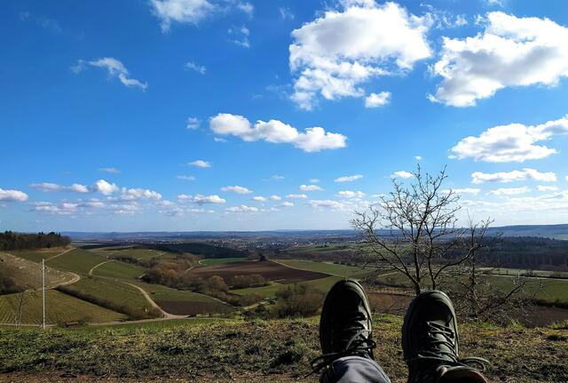 Oberhalb des Weinausschanks steht ein Waldsofa - wunderbar zum Ausruhen und Ausblick genießen.