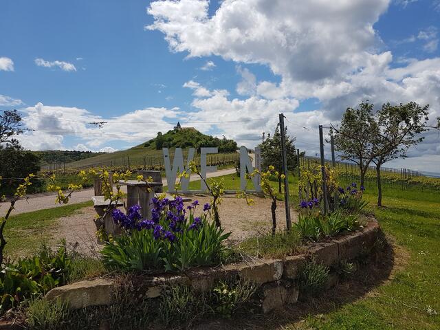 Der Michaelsberg bei Cleebronn