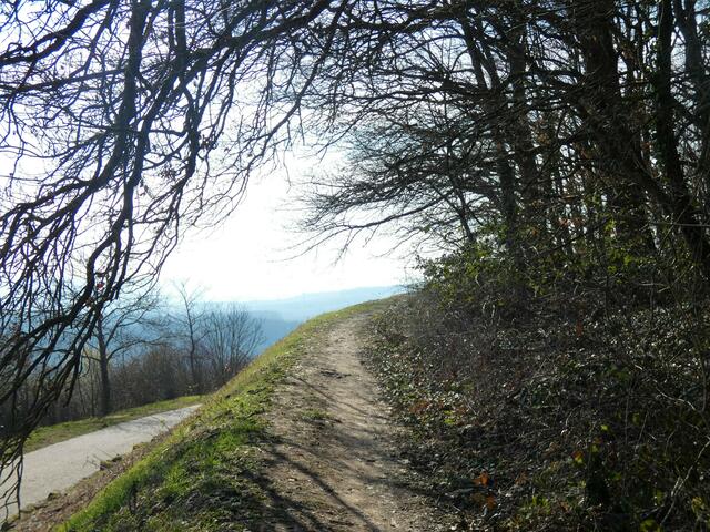 Der Pfad am Krapfen Anfang März