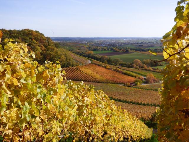 Farbenrausch und tolle Ausblicke im Herbst