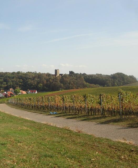 Und hier ein letzter Blick auf Burg Neipperg, bevor das Ende der Wanderung erreicht ist