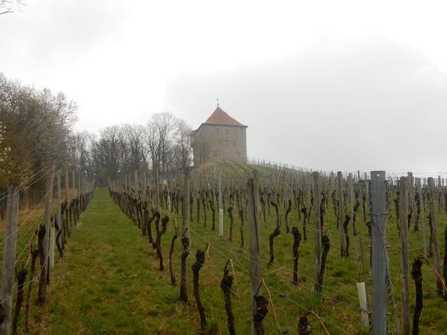 Burg Wildeck