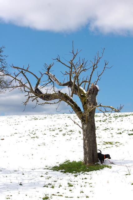 Ich helf dem April, den Schnee zu schmelzen. Grins