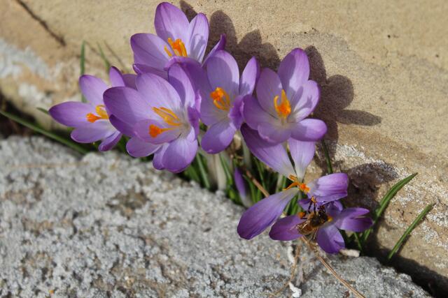 Platz ist in der kleinsten Ritze