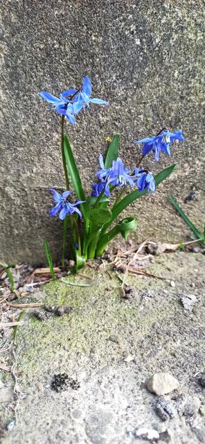 Jedes Jahr die gleiche Stelle