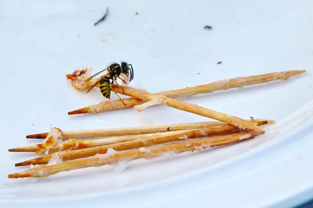 Ich trage mehr als du mir zutraust