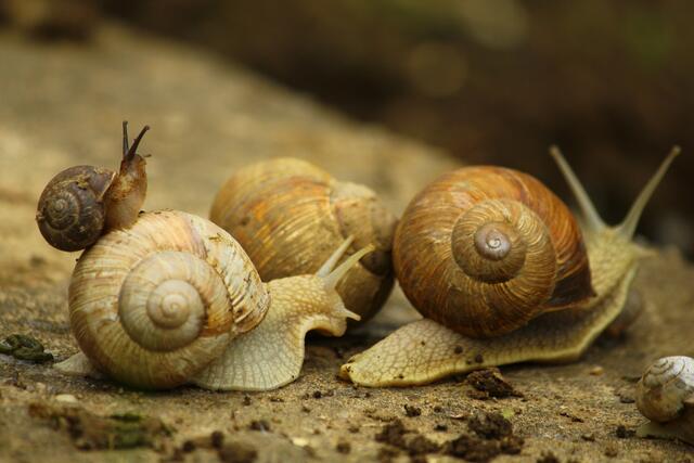 Ich bin zwar klein aber jetzt ganz groß