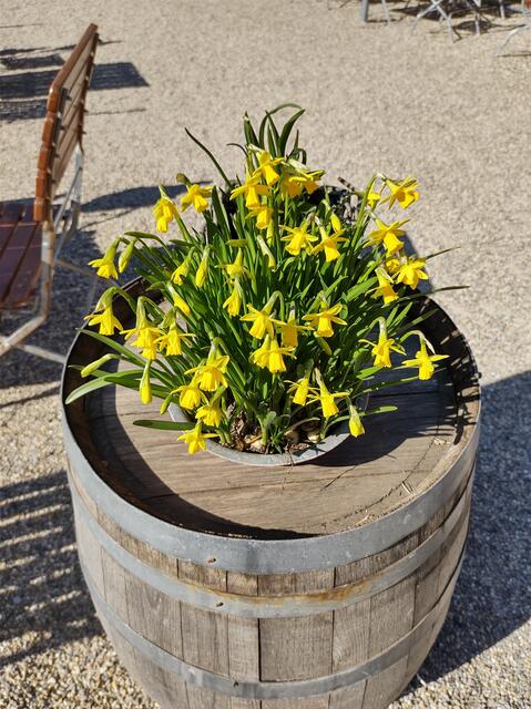 Das Lokal wird bald geöffnet. Die Dekoration steht schon.