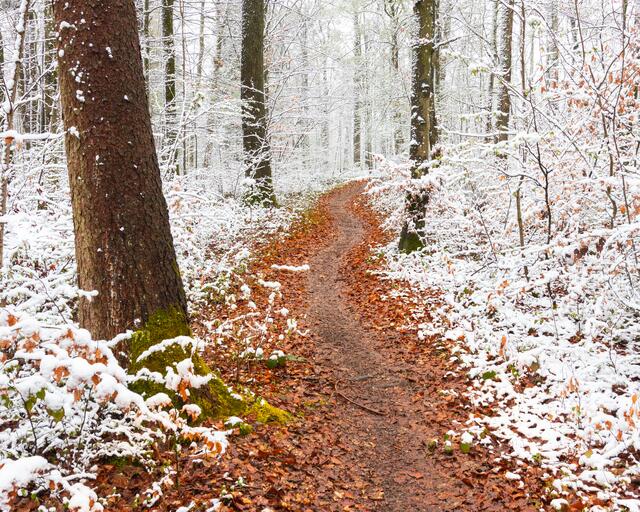 Der Weg ist noch schneefrei