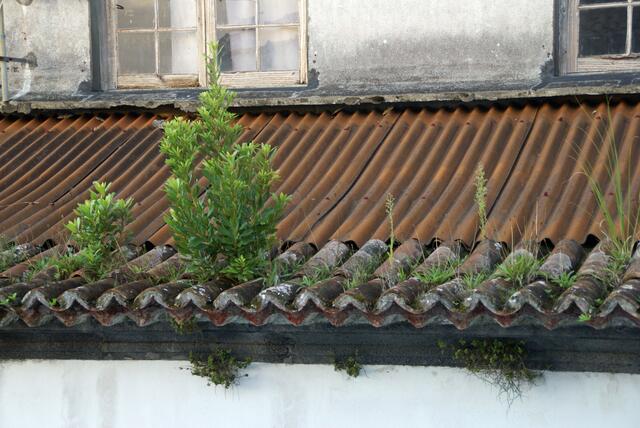 Ziegel statt Gartenbeet