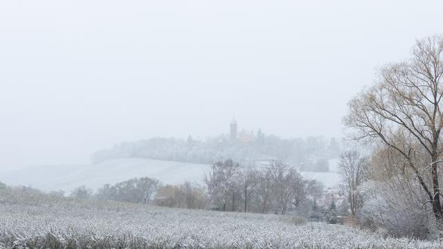 Schneebedeckte Landschaft