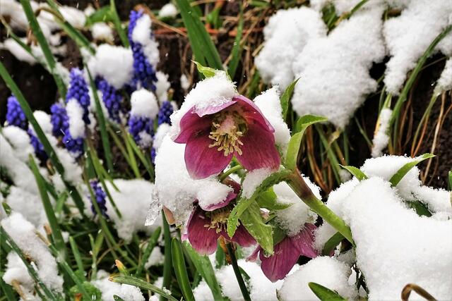 Geschenkte Kraft zum Tragen.