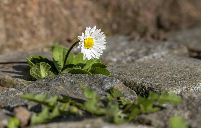 Den Kopf nicht hängen lassen.