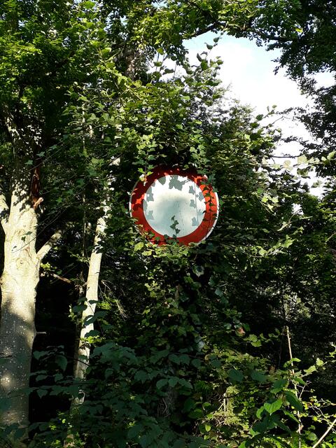 fast von der Natur überwuchert