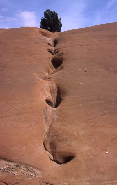 steter Tropfen höhlt den Stein - die Kraft der Erosion