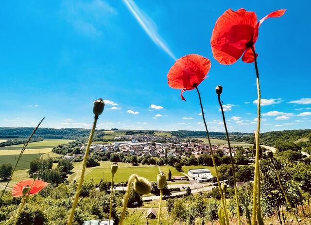 Das farbenfrohe und blühende Leben über Siglingen im Jagsttal.