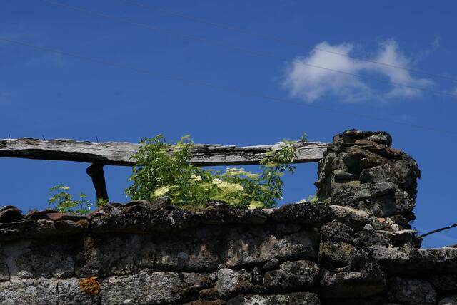trotz karger Lebensbedingungen