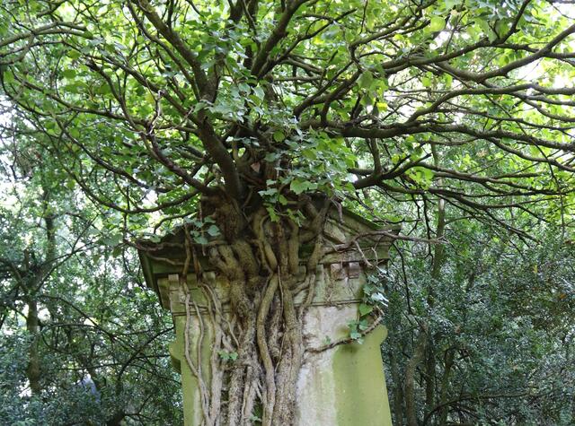 Auf dem jüdischen Friedhof Heilbronn