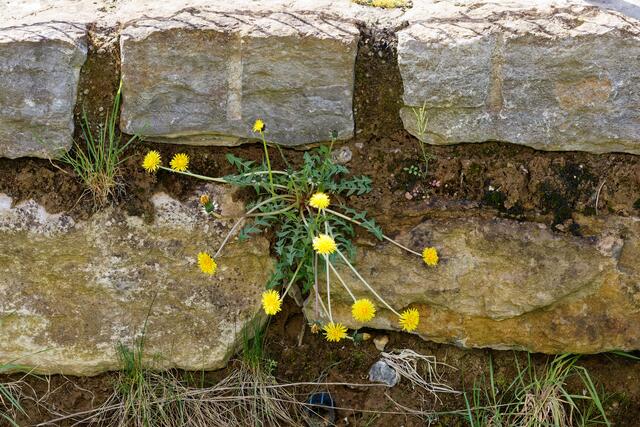 Platz ist in der kleinsten Ritze