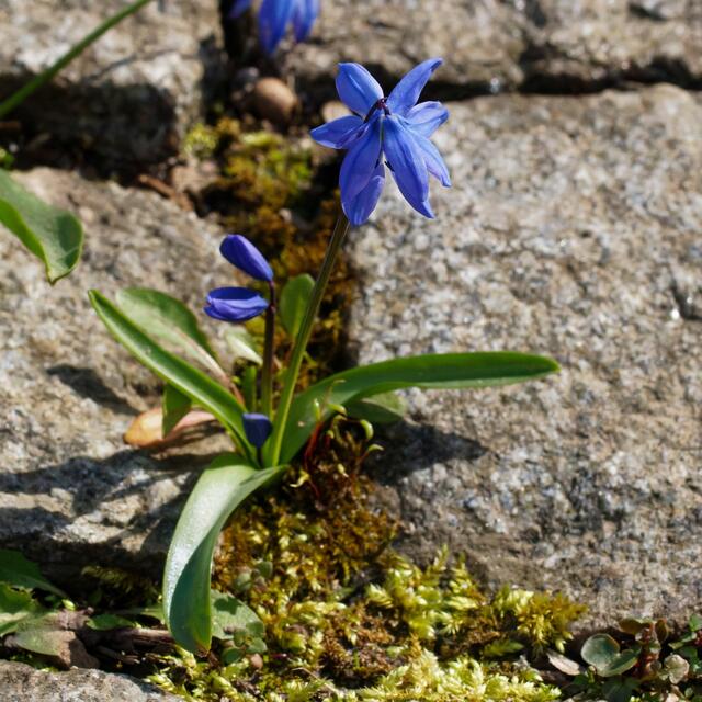 Platz ist in der kleinsten Ritze