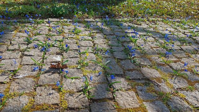 Platz ist in der kleinsten Ritze