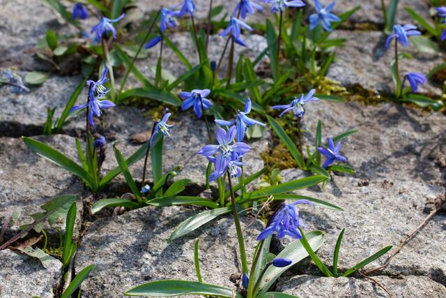 Platz ist in der kleinsten Ritze