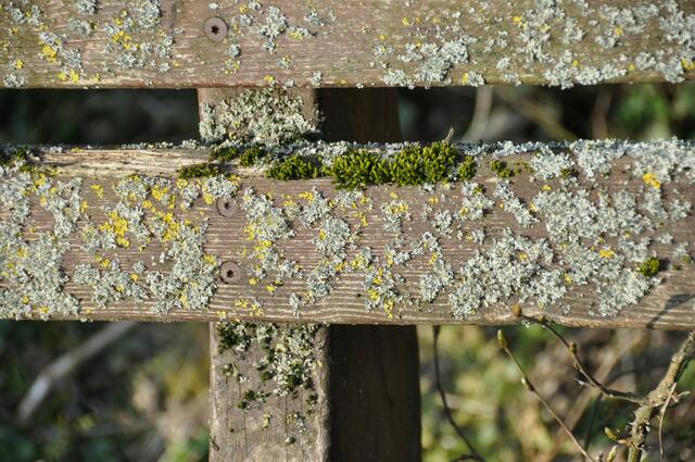 ...ich war einmal eine Bank