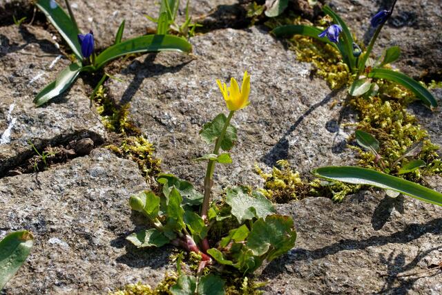 Platz ist in der kleinsten Ritze
