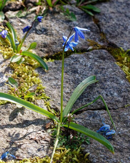 Platz ist in der kleinsten Ritze