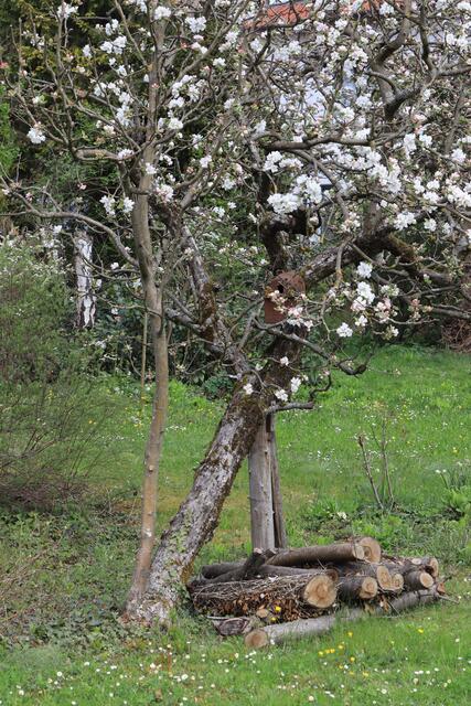 Gekippt, Gestützt, junge Kraft!