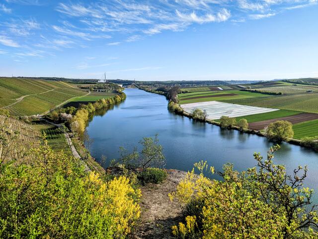 Blick vom Krappenfelsen Richtung AKW NWH