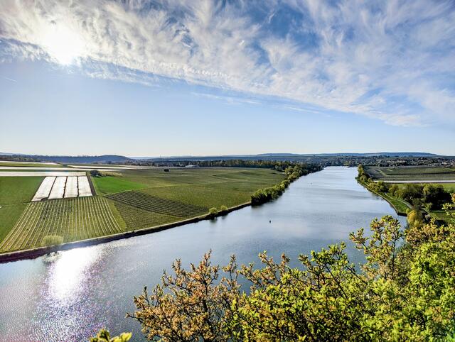Blick vom Krappenfelsen Richtung Lauffen